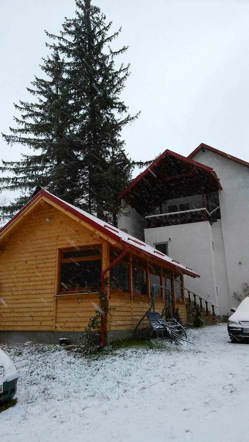 Casa Krista Hotell Bran  Exteriör bild